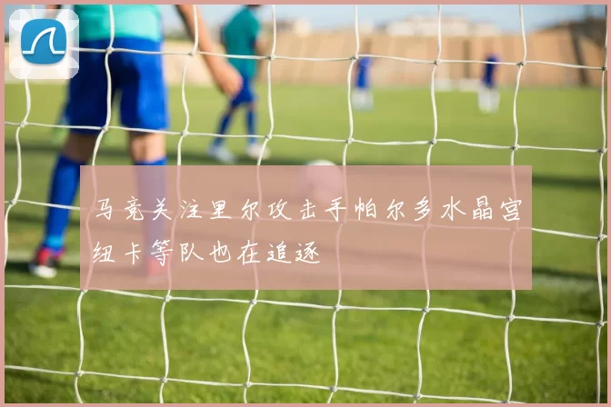 马竞关注里尔攻击手帕尔多水晶宫纽卡等队也在追逐