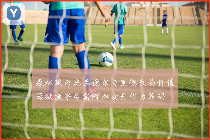 森林狼考虑兰德尔与里德交易价值若欲换字母需附加麦丹作为筹码
