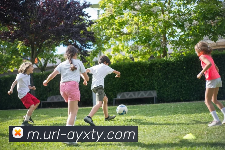 爱游戏服务体系